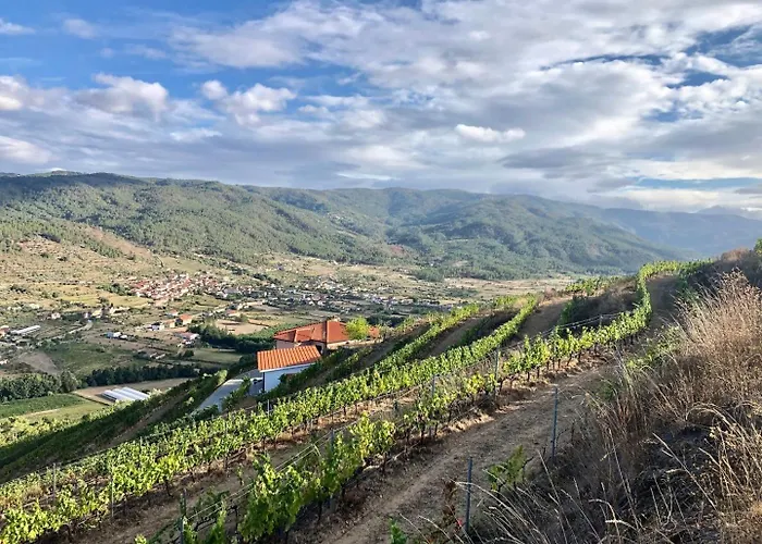 Quinta Da Penada - Vineyard & Winery - Suite 3
