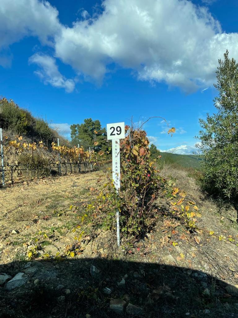 Quinta Da Penada - Vineyard & Winery - 3 Appartement *