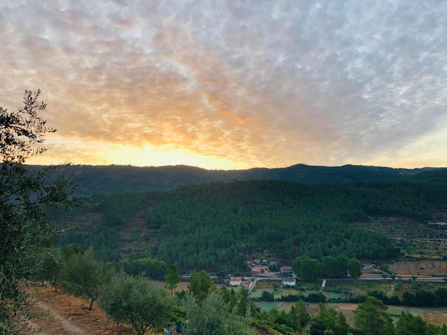 Quinta Da Penada - Vineyard & Winery - 3 Appartement Chaves